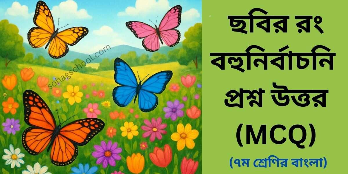 ছবির রং MCQ | বহুনির্বাচনি প্রশ্ন উত্তর