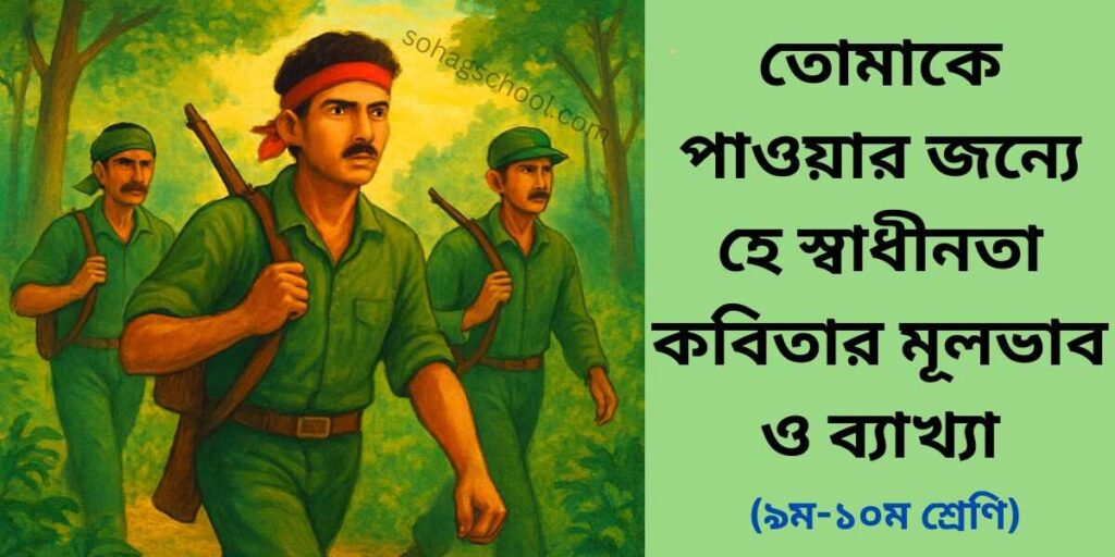 তোমাকে পাওয়ার জন্যে হে স্বাধীনতা কবিতার মূলভাব ও ব্যাখ্যা