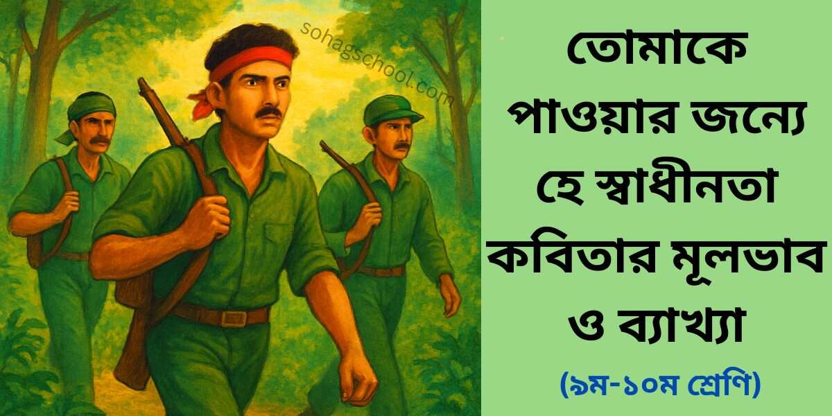 তোমাকে পাওয়ার জন্যে হে স্বাধীনতা কবিতার মূলভাব ও ব্যাখ্যা
